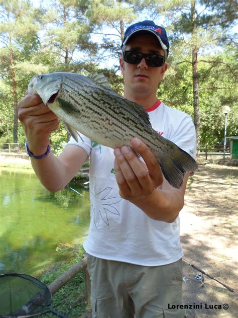 Saltwater Spinning Light Rock Fishing In Fresh Water