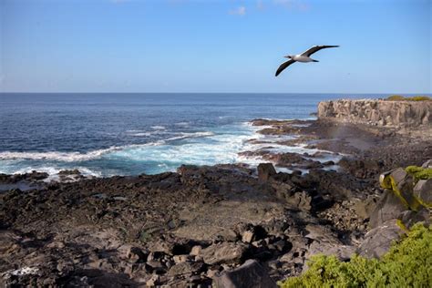 Why the Galapagos Islands inspired Charles Darwin?