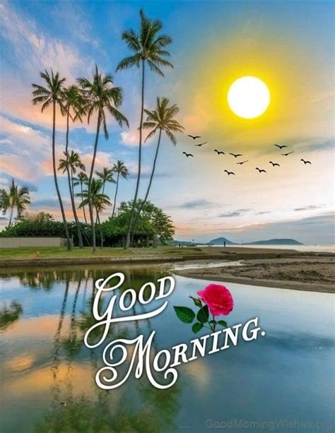 Good Morning Scenery Images Good Morning Wishes