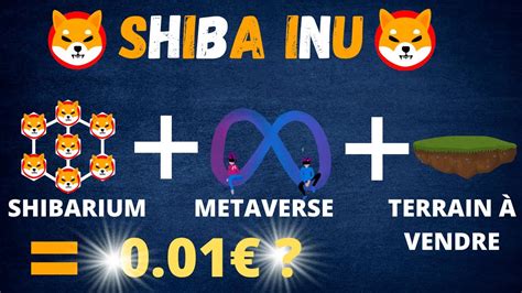 Shiba Inu Il Va Valoir Des Milliards En Route Vers Les 0 01