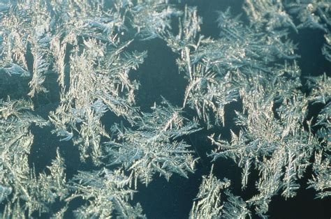 Snowflakes, Close-up by Joanna Mccarthy