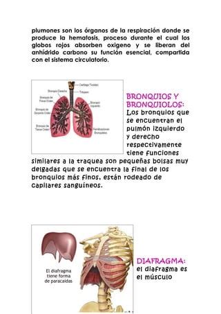 Sistemadelosseresvivos PDF