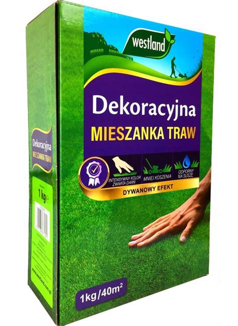 Westland Dekoracyjna Niska Cena Na Allegro Pl