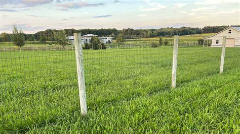 No Climb Fence - Horse Safe and Maintenance Free