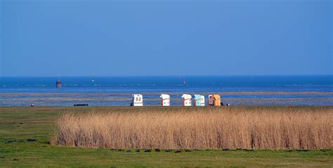 Mar Del Norte Playa Naturaleza Foto Gratis En Pixabay Pixabay