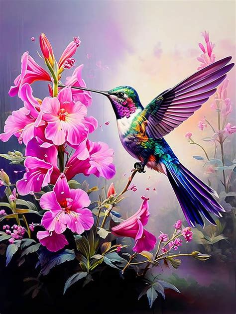 Amazon Croshom Diamond Painting Kits For Adults 5D DIY Hummingbird