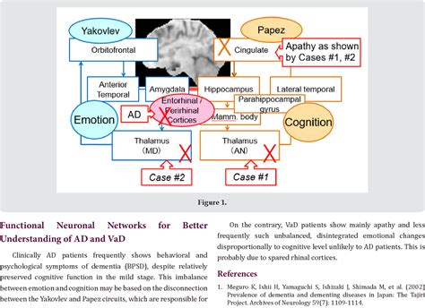 Pdf Rhinal Cortices Connecting The Papez And Yakovlev Circuits An