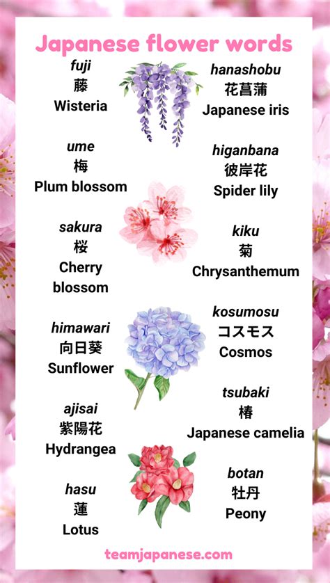 Many Beautiful Flowers Have A Special Significance In Japanese Culture