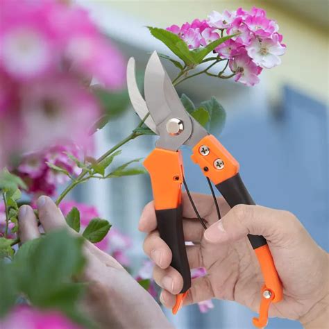 การตดแตงกงกรรไกรตดผลไมวงลอ Secateurs เครองมอตดสาขาเครองตด