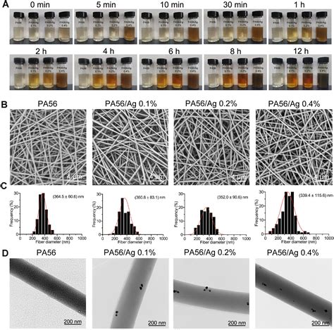 One Step Synthesis Of Silver Nanoparticles Embedded In Biobased