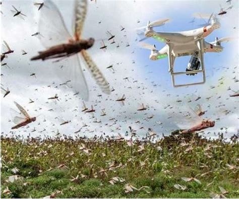 India Is The First Country To Stop Locust Swarm Using Drones Newscast