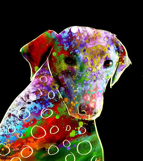 Color Splash Abstract Dog Art Digital Art By Ann Powell