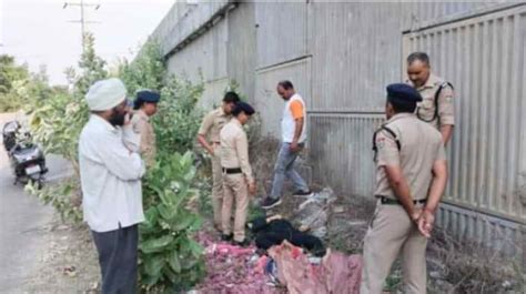 तीन पानी फ़्लाईओवर के नीचे दरोगा की बेटी का शव मिलने से फैली सनसनी जांच में जुटी दून पुलिस