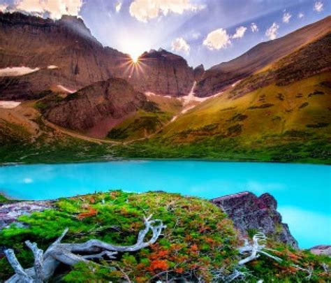 Cracker Lake Sunset Montana Dead Branches Beautiful Grass Rocks