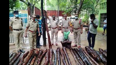 Task Force Arrest One Smuggler And Seized Red Sanders Logs