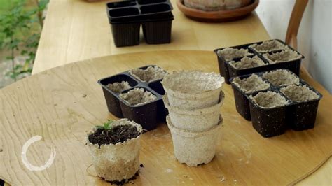 DIY Recycled Paper Seedling Pots YouTube