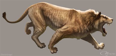 Panthera spelaea | Dinopedia | Fandom