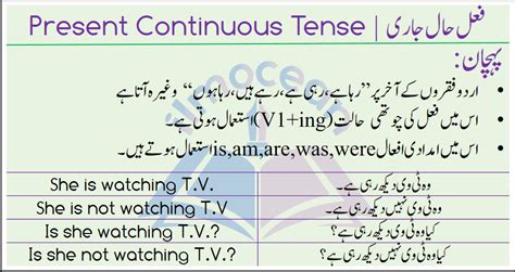 Present Indefinite Tense Sentences With Urdu Off