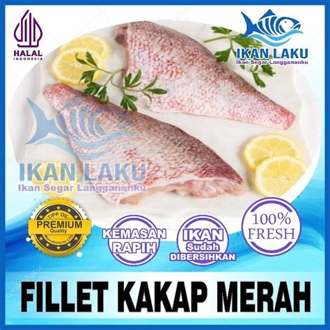 Jual Fillet Kakap Merah Asli Cikarang Tambun Premium Fresh Termurah