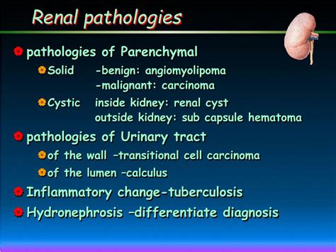 PPT Urinary System Imaging Diagnosis PowerPoint Presentation Free