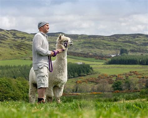 Dumfries and Galloway Attractions - Tripadvisor