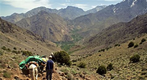 Randonn E De Jours Au Mont Toubkal Imlil Freetour