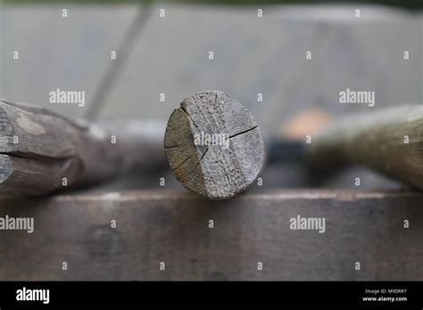 Querschnitt der Baumstamm Jahresringe auf weißem Hintergrund Holz