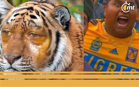 Los mejores memes del Clásico Regio 136 entre Tigres y Rayados