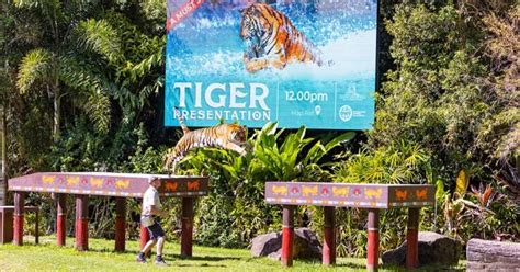 Tiger Island at Dreamworld | Venue Hire at VenueNow