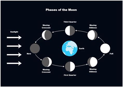 Moon Phases Diagram | Understand the Lunar Cycles Easily