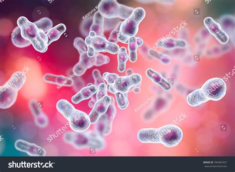 20628 Bacteria Spore Images Stock Photos And Vectors Shutterstock