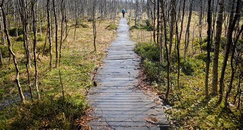 Moorteiche Moorteiche Im Glatzer Land In Schlesien Polen Flickr