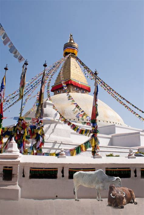 Boudhanath Stupa Stupa/temple Editorial Photography - Image of nepal ...