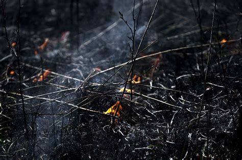 photo  peek  cncs controlled burn