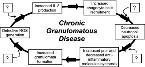 Inflammatory Manifestations In Chronic Granulomatous Disease Cgd