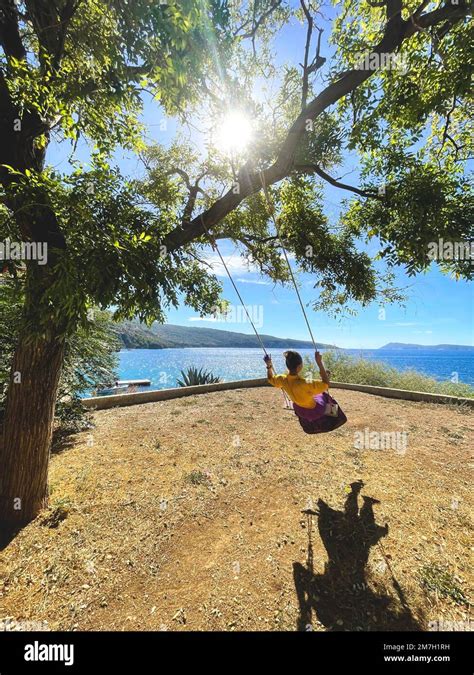 Happy Lady Rides On A Swing Tied To A Tree Behold The Beautiful Summer