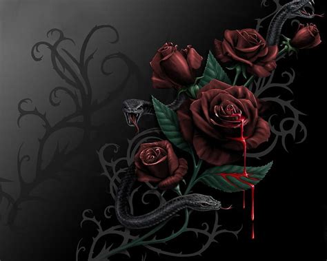 Black Bloody Roses Rose Snake HD Wallpaper Pxfuel