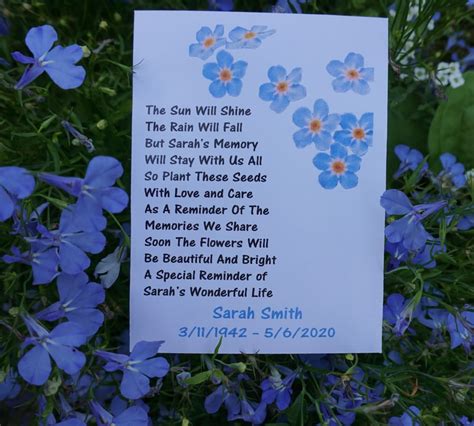 Forget Me Not Seed Poem Blooming Memories