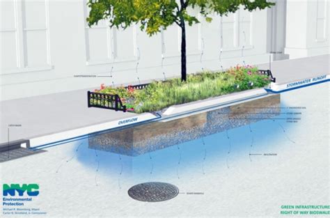 Bioswale Ahead New Haven Independent