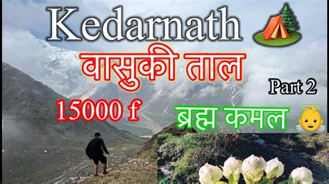 VASUKI TAL Trek KEDARNATH 15000 Feet Elevation YouTube