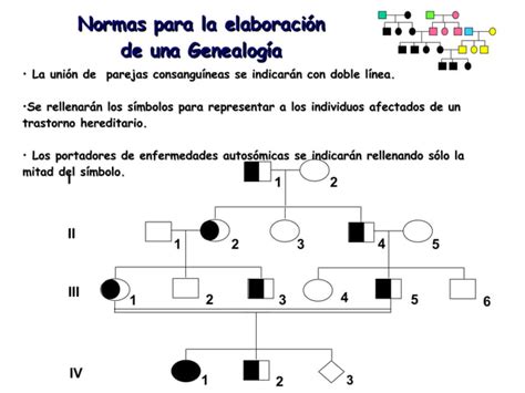 Genealogias Y Patrones De Herencia PPT