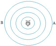 What is the Doppler Effect? Definition and Examples