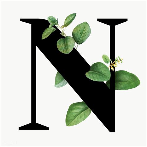 Botanical capital letter N transparent png | premium image by rawpixel.com / Aum | Lettering ...