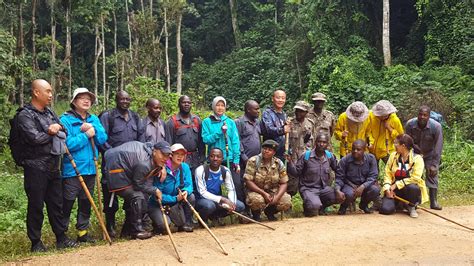 Uganda Gorilla Trekking From Bujumbura Kisoro Tours Uganda