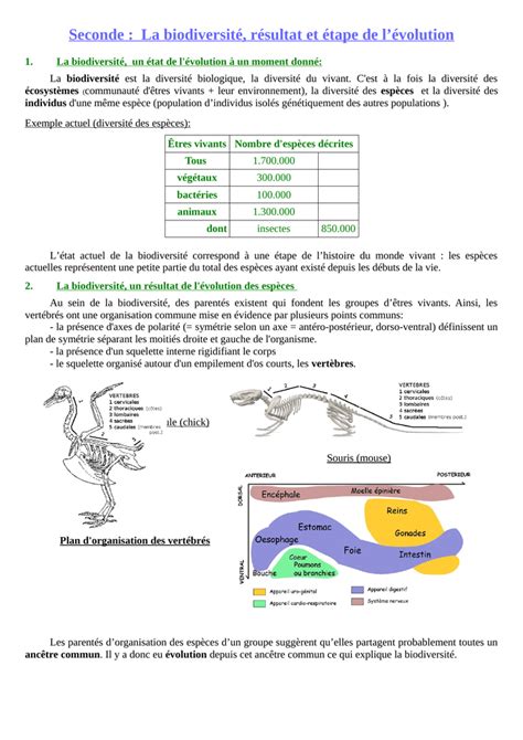 Seconde La Biodiversité Résultat Et étape De L`évolution