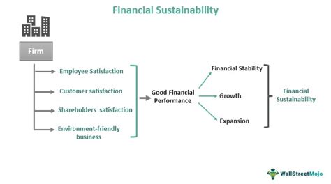 Financial Sustainability Meaning Indicators Examples