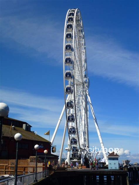 10 BEST Things to Do at Seattle Great Wheel - CityBOP