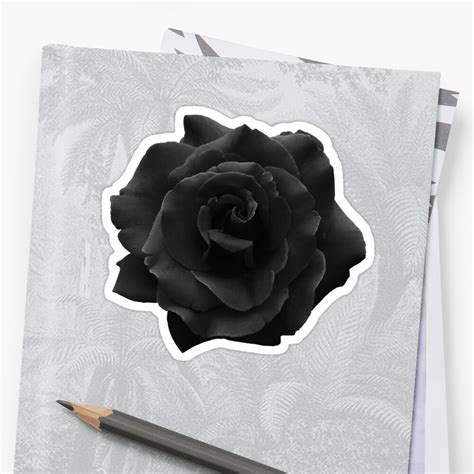 Single Large High Resolution Black Rose Sticker By Worn Redbubble