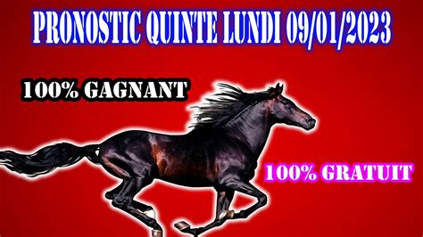 Quinte En Chevaux Lundi Janvier Pronostic Pmu Quinte Du