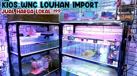 KIOS WNC CEKUPDATE HARGA LOUHAN LOUHAN IMPORT HARGA LOKAL